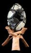 Septarian Dragon Egg Geode - Black Crystals #36714-1